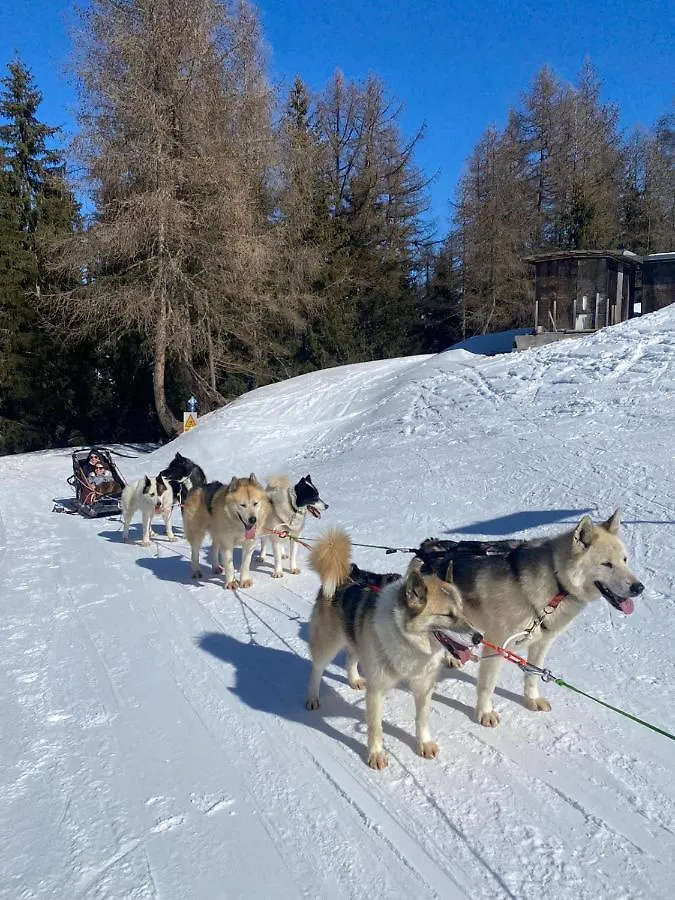 Апартаменты Plagne Bellecote - 5 Pers - Vue Pistes - Acces Piscine Chauffee Ла-Плань 0*,  Франция